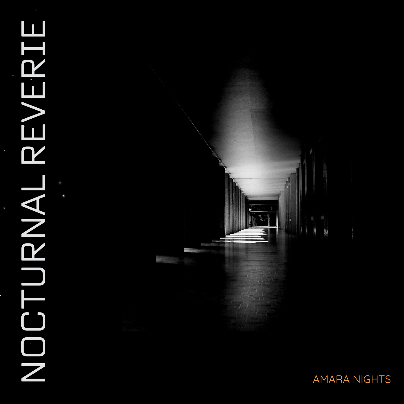 Nocturnal Reverie
