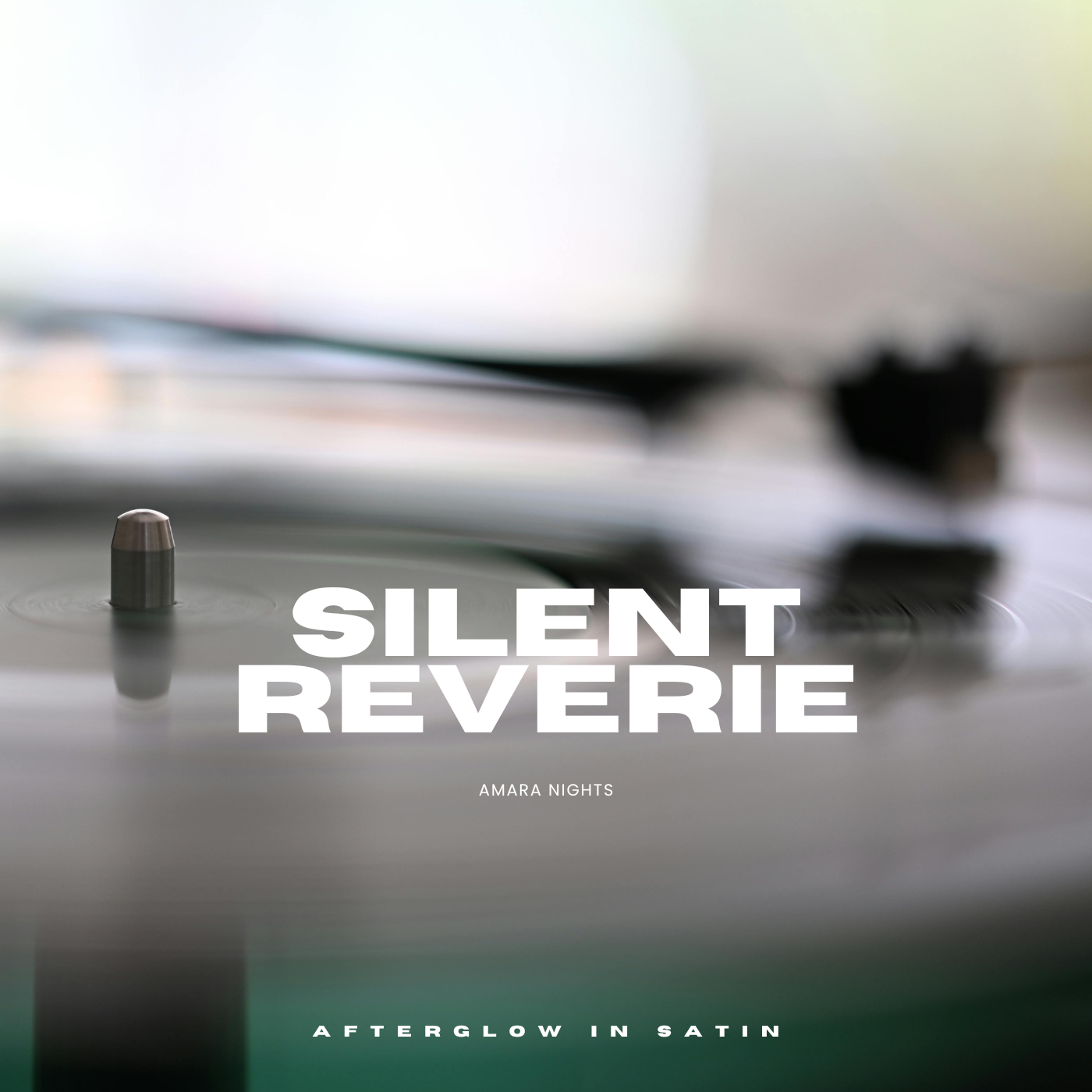 Silent Reverie